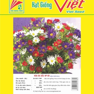 HOA ĐA SẮC NP-09 ANNUAL FLOWER NP-09