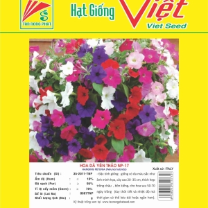 HOA DÃ YÊN THẢO NP-17 HANGING PETUNIA NP-17
