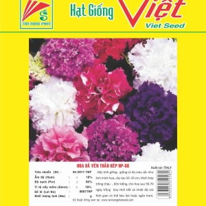 HOA DÃ YÊN THẢO NP-50 FLOWER NP-50