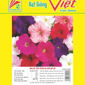 HOA DÃ YÊN THẢO NP-52 FLOWER NP-52