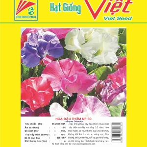 HOA ĐẬU THƠM NP-30 LATHYRUS ODORATUS NP-30
