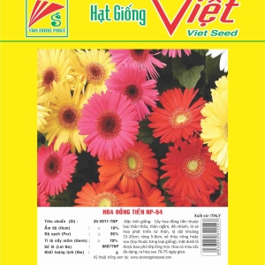 HOA ĐỒNG TIỀN NP-54 FLOWER NP-54
