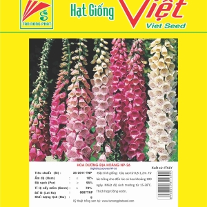 HOA DƯƠNG ĐỊA HOÀNG NP-26 DIGITALIS PURPUREA NP-26