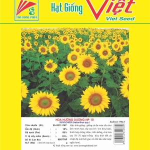 HOA HƯƠNG DƯƠNG NP-10 SUNFLOWER NP-10