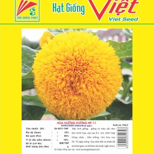 HOA HƯỚNG DƯƠNG NP-11 SUNFLOWER NP-11