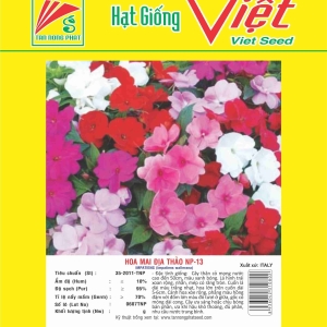 HOA MAI ĐỊA THẢO NP-13 IMPATIENS NP-13