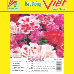 HOA MAI TRANG NP-12 GODETIA NP-12