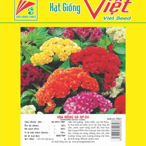 HOA MỒNG GÀ NP-04 COCKSCOMB NP-04
