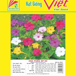 HOA PHẤN NP-02 MIRABILIS JALAPA NP-02
