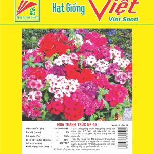 HOA THANH TRÚC NP-46 FLOWER NP-46