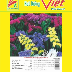 HOA TRƯỜNG ANH HẠNH PHÚC NP-33 LIMONIUM SINUATUM NP-33