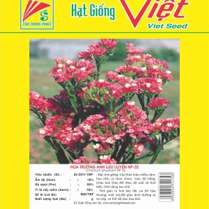 HOA TRƯỜNG ANH LƯU LUYẾN NP-32 LIMONIUM SINUATUM NP-32
