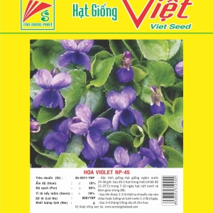 HOA VIOLET NP-45 VIOLET FLOWER NP-45