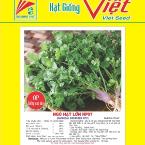 NGÒ HẠT LƠN ( NGÒ ITALIA) NP 07 NGÒ HẠT LƠN ( NGÒ ITALIA) NP 07