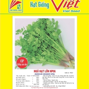 NGÒ HẠT LỚN NP - 06 MACOCCAN CORIANDER NP-06 NGÒ HẠT LỚN NP - 06 MACOCCAN CORIANDER NP-06