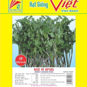 NGÒ RÍ CHỊU NHIỆT NP -305 DROUGHT CODIANDER NP-305 NGÒ RÍ CHỊU NHIỆT NP -305 DROUGHT CODIANDER NP-305