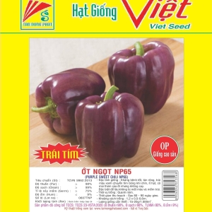 ỚT NGỌT TÍM NP-65 PURPLE SWEET CHILI NP-65 ỚT NGỌT TÍM NP-65 PURPLE SWEET CHILI NP-65
