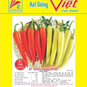 ỚT SỪNG VÀNG F1 NP-807 F1 CHILI NP-807 ỚT SỪNG VÀNG F1 NP-807 F1 CHILI NP-807
