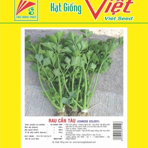 RAU CẦN TÀU RAU CẦN TÀU