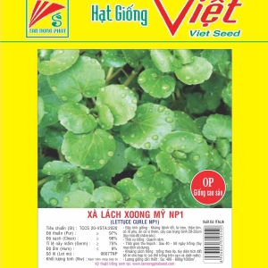 XÀ LÁCH XOONG MỸ XÀ LÁCH XOONG MỸ